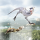 Image for article titled The Critters of Final Fantasy XIV